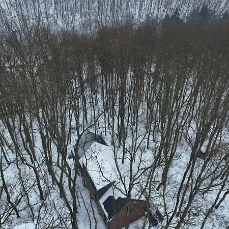 House - Why Not * Verőcemaros