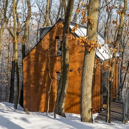 Tatil Evi House - Why Not *